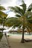HoneyMoon 659.jpg